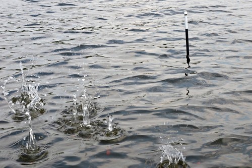 Carpspot spotmarker stabboje - carpspot,