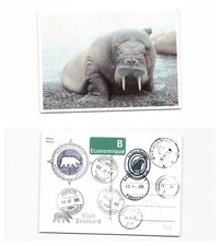 (nsiemersa208)   Niew Statendam Kreuzfahrt Nordkap, Jan Mayen, Island, Grön