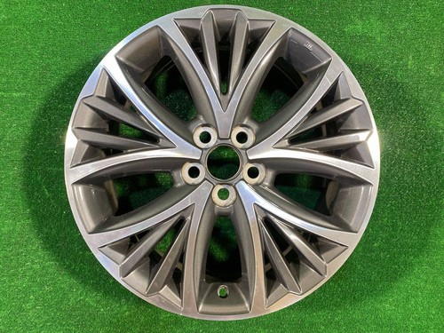 Toyota yaris xp210 2022 - yaris,