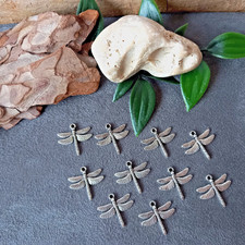 10 Libelle / Libellen