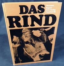 Das Rind. Betriebswirtschaftliche Stellung, Zucht, Fütterung, Haltung und Stallb