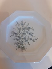 Gallo Leonardo 6 Speiseteller flache Teller Vergissmeinnicht Villeroy&Boch 27 cm