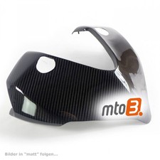 Carbon Frontverkleidung für