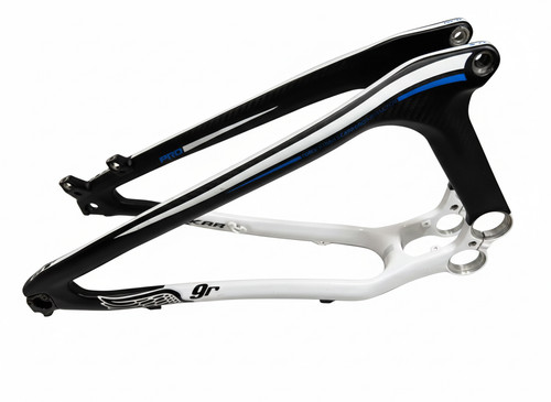 Zaskar 100 carbon - gt,