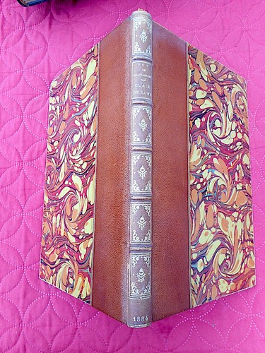 Mondschein von maupassant - mondschein,