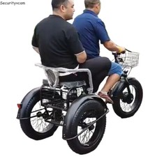 20 Zoll 500W 48V Elektro