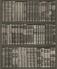 Rasch Tapete Vlies Selection