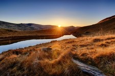 Wandbild: Wunderschöner