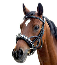 Kappzaum Leder, stabiler