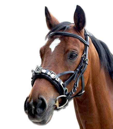 Kappzaum leder stabiler - kappzaum,