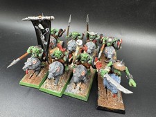 8 Goblin Wolf Rider Warhammer