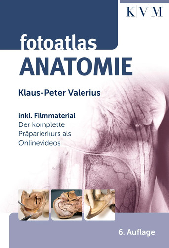 Fotoatlas anatomie inkl - fotoatlas, inkl.