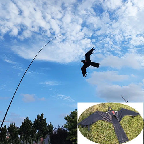 Zoll adlerdrachen - 47,