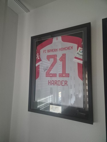 Pernille harder trikot - pernille,