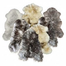 NEU* Schaffell Echt XXL | Öko