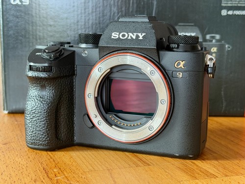 Sony alpha 2mp - sony, a9