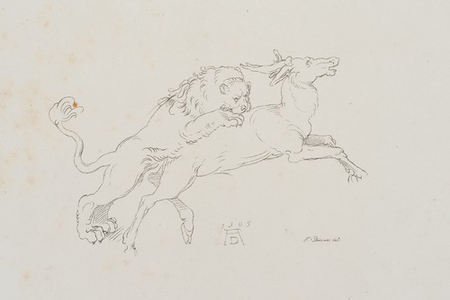 Strixner nach dürer - (*1782),