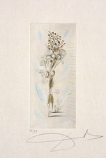 Salvador Dali Original Color