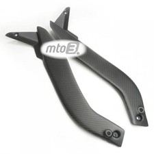 Carbon Rahmenschutz für