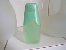 Ted Lapidus Creation The Vert