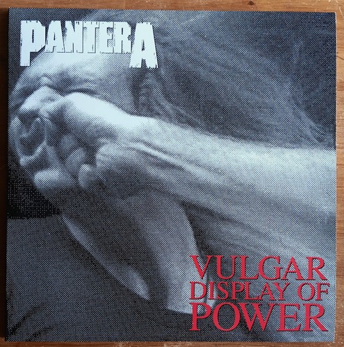 Pantera vulgar display of - vulgar,