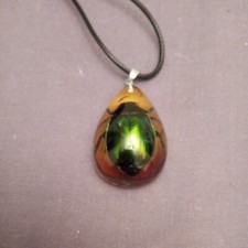 Grün schillernder Skarabäus