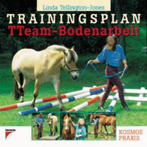Trainingsplan