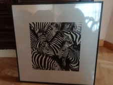 Kunstdruck "Zebra" Bild 50 x