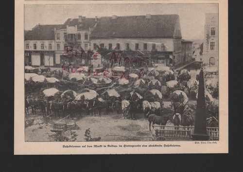 Goldap bilddokument 1915 - goldap,,