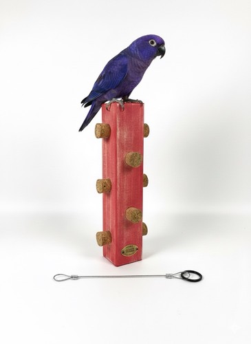 Vogelspielzeug