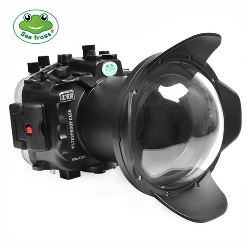Seafrogs 40m 130ft underwater - seafrogs, 40m/130ft