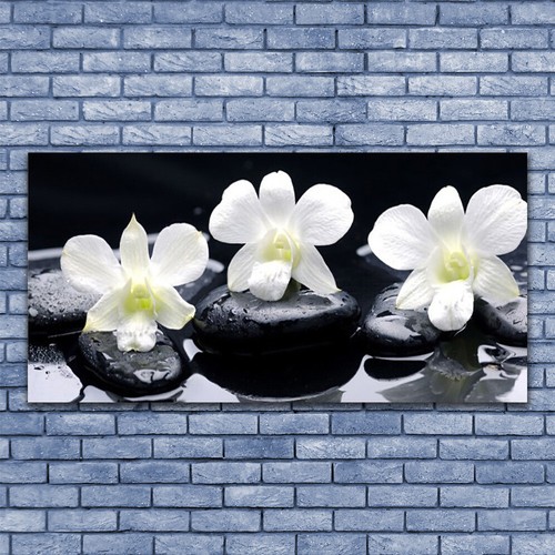 Acrylglasbilder wandbilder aus - acrylglasbilder,