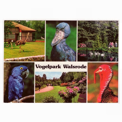 Vogelpark walsrode - ak,