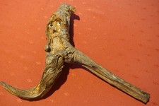 Wurzelgeist handgeschnitztes - -,
