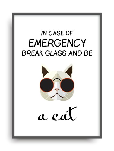Kunstdruck cat fine art - kunstdruck,