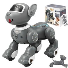 Fernbedienbarer Roboterhund