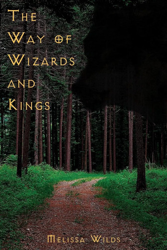 The way wizards - wizards, kings