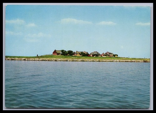 Ansichtskarte hallig oland - hallig,