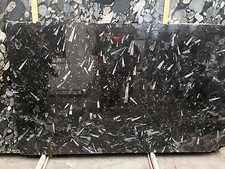 Couchtischplatte Marmorplatte Waschtischplatte echte Fossilien Kalkstein schwarz