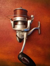 Angeln Fishing Penn Surf