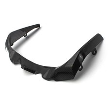 Carbon Kühlerschutz für