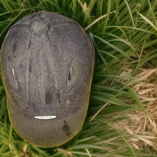 Casco jugend kinder - 🧒, 🐎
