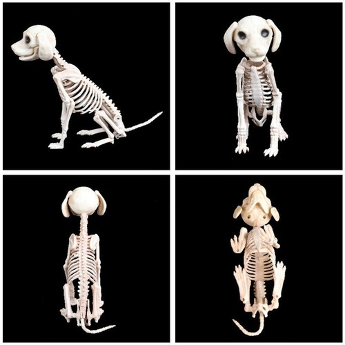 Halloween skelett deko - halloween,