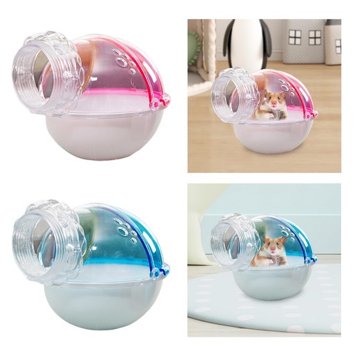 Haustier hamster sand - haustier,