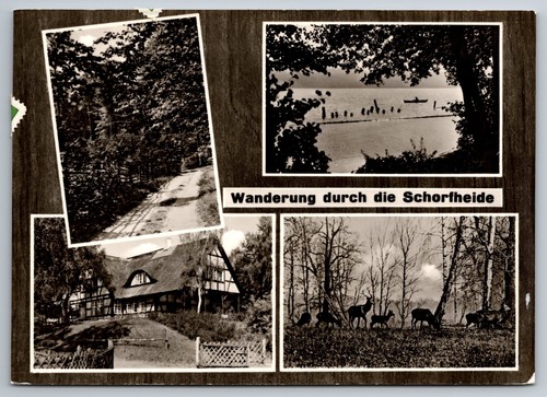 Wanderung durch die - ak,