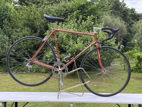 Koga miyata roadspeed - koga,