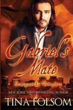 Gabriels Mate Scanguards