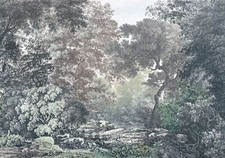 Vlies-Fototapete KOMAR, RAW FAIRYTALE FOREST, 4 Teile, BxH 400 x 280 cm
