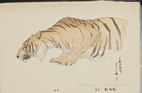 Hiroshi yoshida tiger - hiroshi,