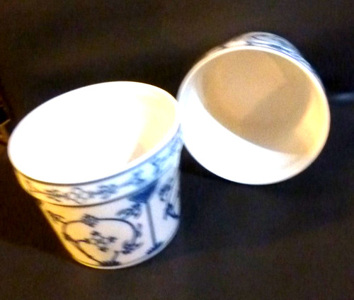 Winterling indisch blau